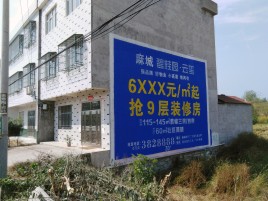 岚皋墙体广告质量分析