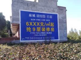 岚皋品牌公司青睐的墙体广告
