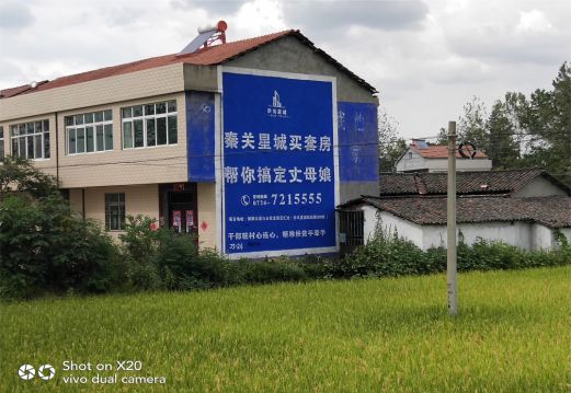 岚皋决定墙体广告价格的因素有哪些?